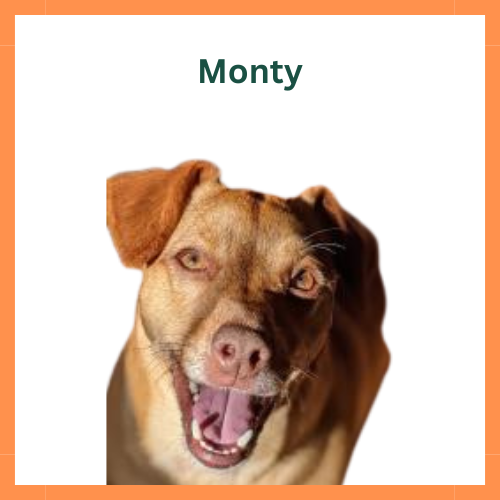 Monty-2