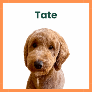 Tate