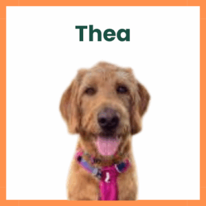 Thea-2