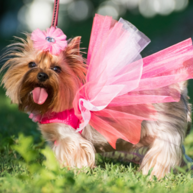 Recycled Materials Are Reshaping Fashion