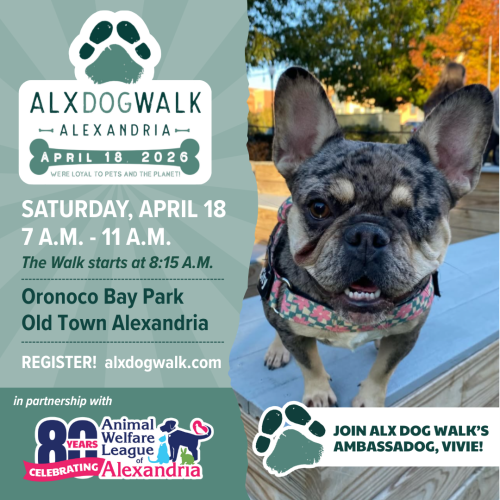 Copy of ALX Dog Walk