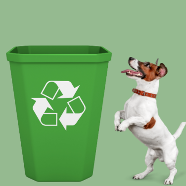 Recycling by the Numbers