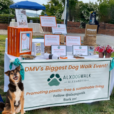 Micro-Marketers:  The Game-Changers!