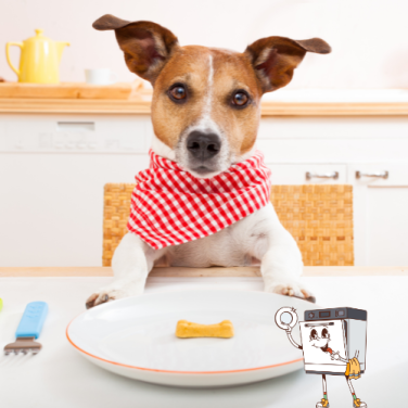 Ditch the Plastics & Toxins, Keep Sparkles!