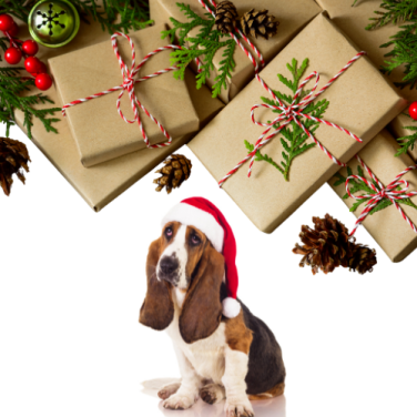 Hiddien Plastic in Wrapping Paper